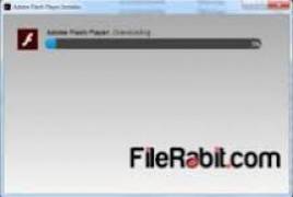 Adobe Flash Player for IE 15